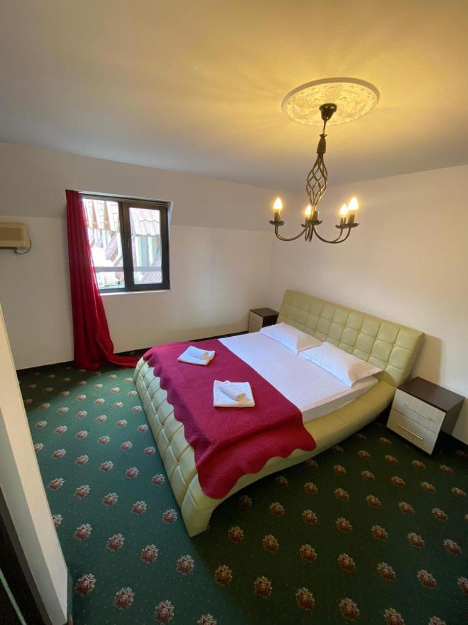 Hanu Satului Guest house *