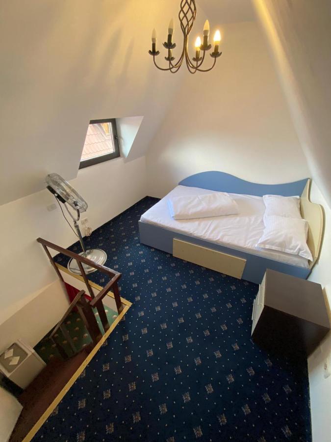 Hanu Satului Guest house *